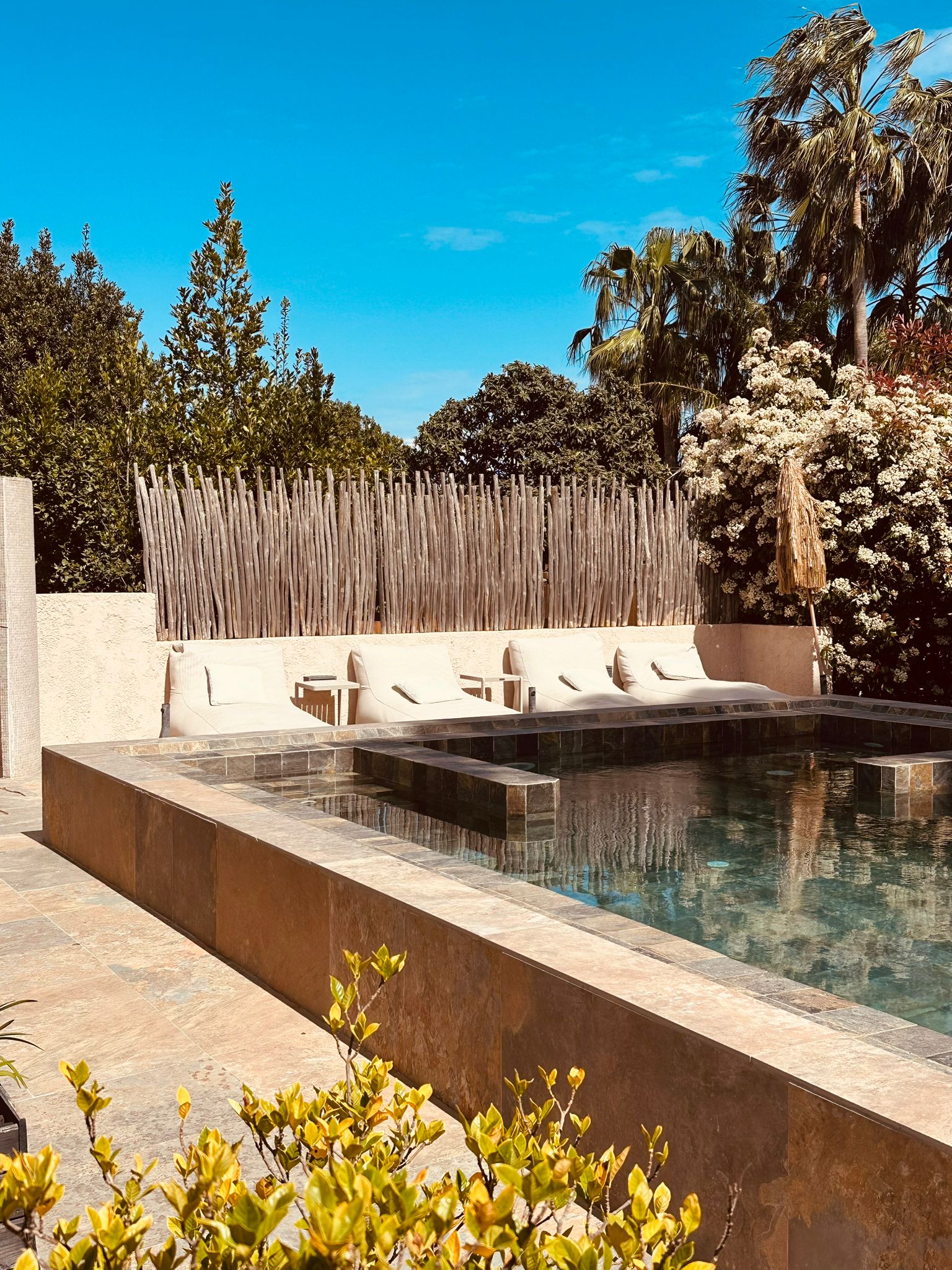 4319fc45 4c6a 4e07 97f3 8b6bf9167a74